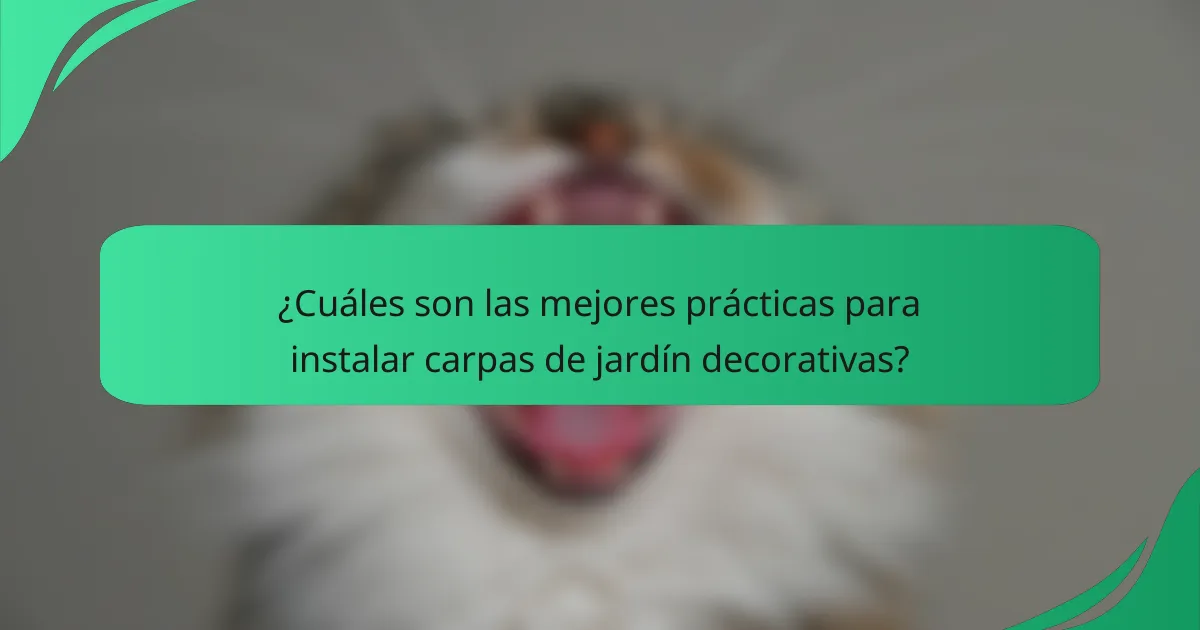 ¿Cuáles son las mejores prácticas para instalar carpas de jardín decorativas?
